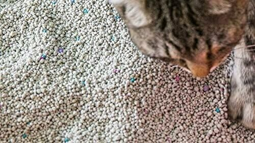 Scoop Away Plus Cat Litter Scented Complete Performance Odour Eliminator 19kg