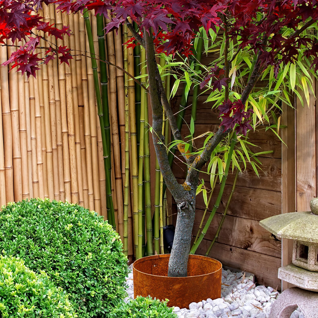Jack Tree Surround Interlocking Tree Plant Trunk Ring Guard Garden Outdoor 300mm