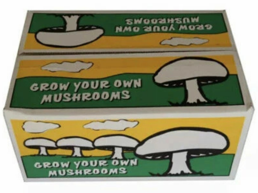 All-In-One White Button Mushroom Growing Kit