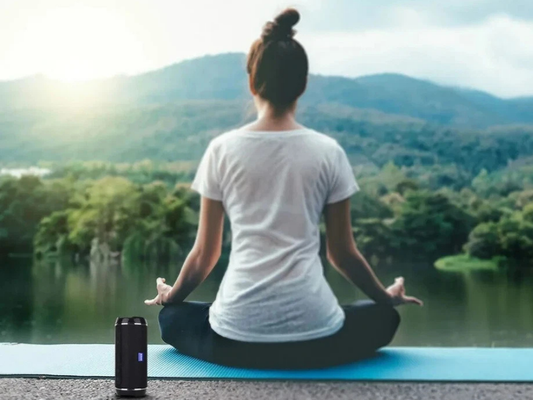 Laser Portable Pill Bluetooth Speaker – Wireless USB, AUX & FM Radio Dock Mini