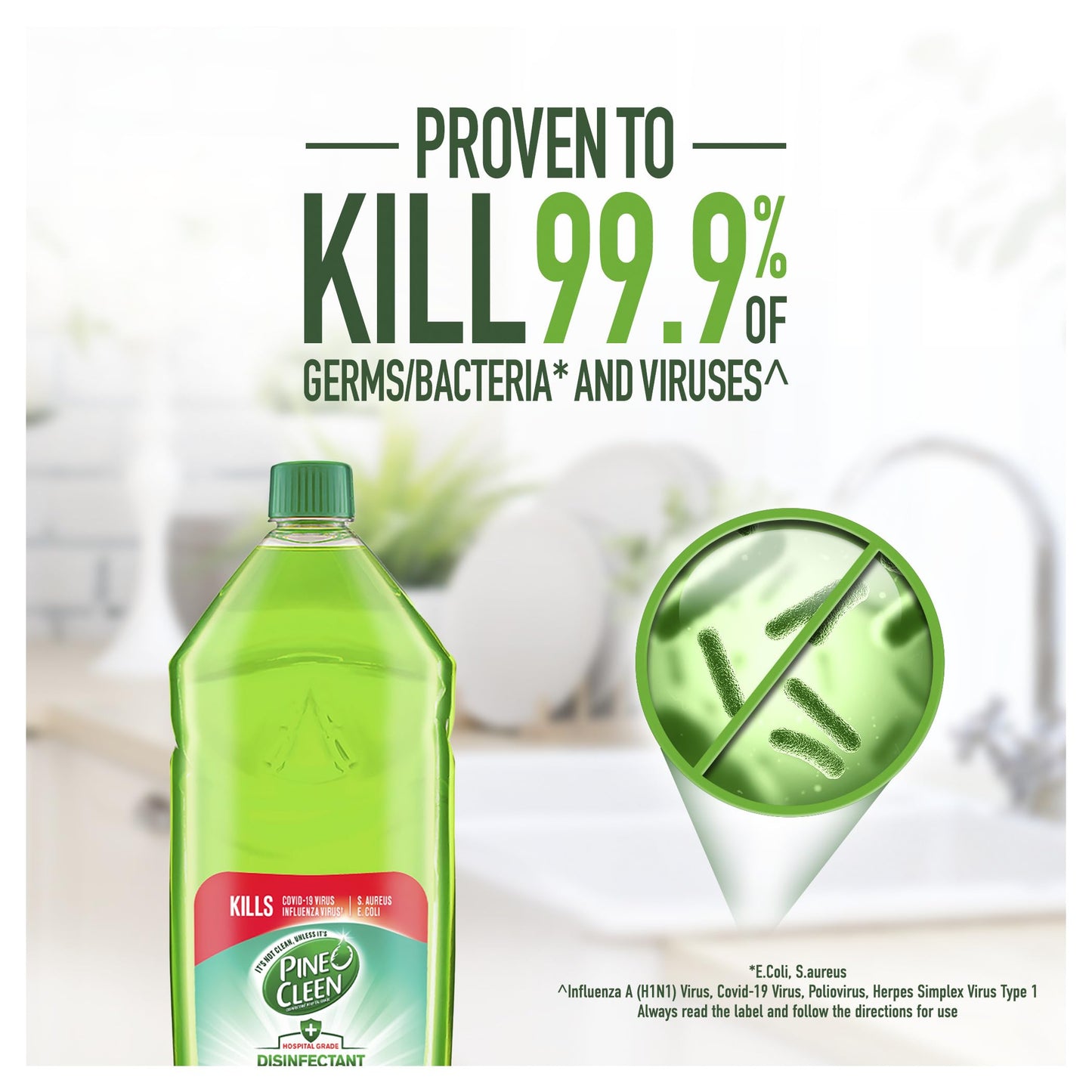 Pine O Cleen Antibacterial Disinfectant Liquid, 1.25L, Eucalyptus x 8 Units