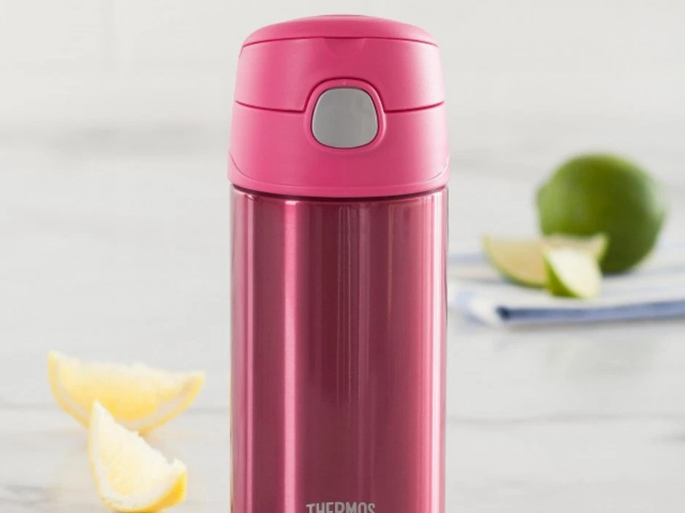 Thermos Kids Insulated Water Bottle with Straw – Vacuum Flask for Toddlers