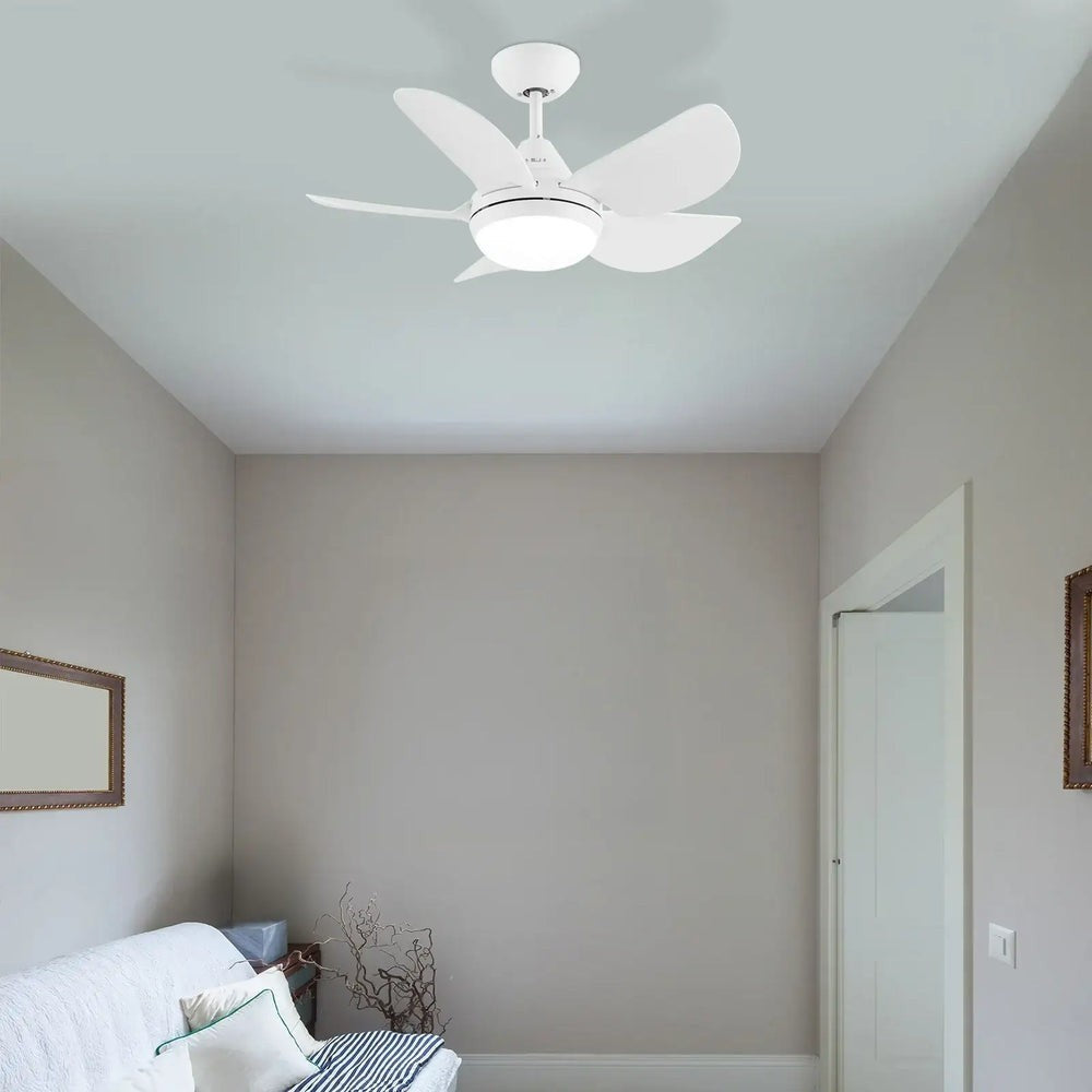 Arlec Maxy 76cm AC Ceiling Fan with LED Light 5 ABS Blades Wall Control White