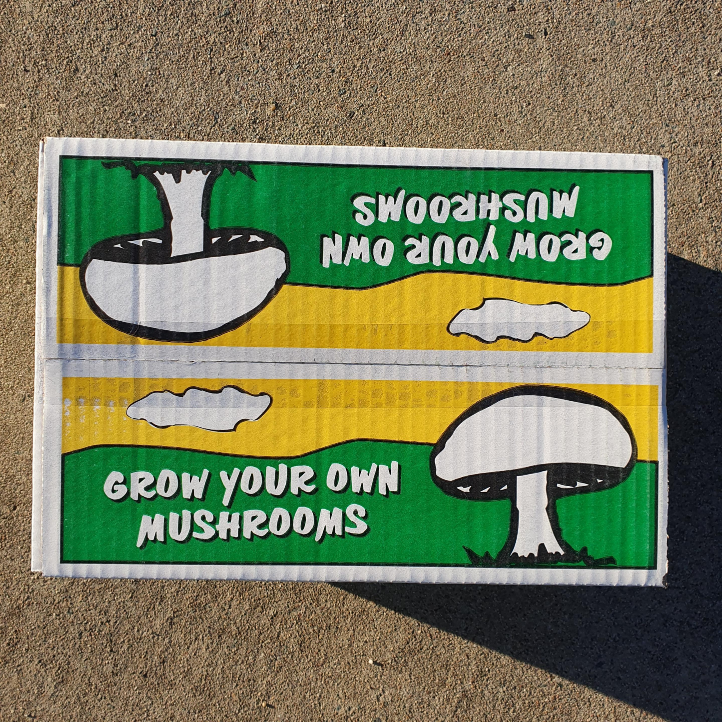 Grow Your Own Mushroom Kit