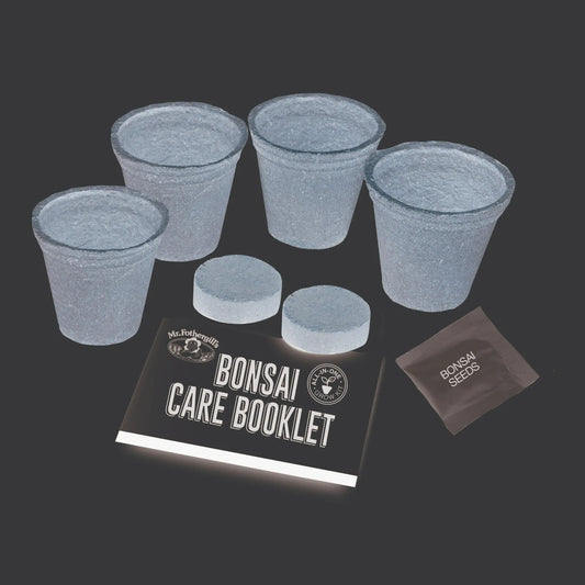 Mr Fothergill's Bonsai Seeds Japanese Maple All-In-One Starter Growing Kit