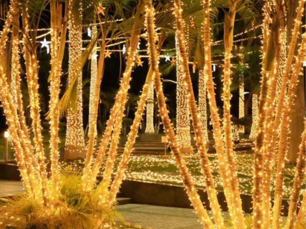 Lytworx 12.4m LED Fairy String Lights – 250 Warm White Bulbs