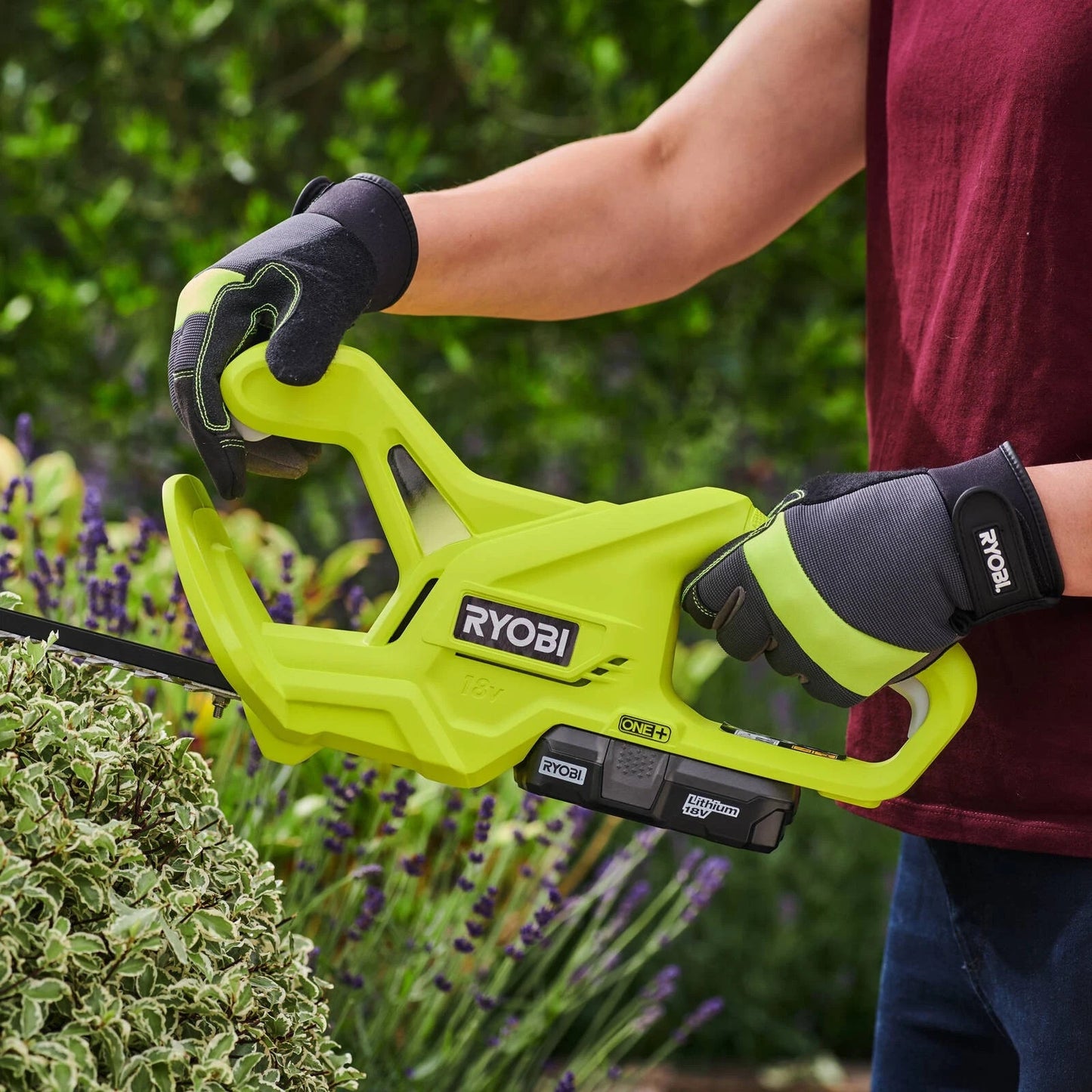 Ryobi 18V Hedge Trimmer Kit ONE+ 2.0Ah Cordless Battery Charger included