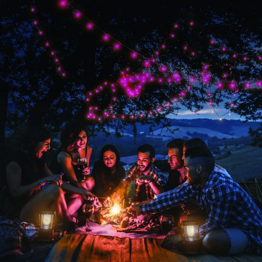2X Laser Smart Fairy Lights WiFi 100 LED String Wired Garden Google Alexa
