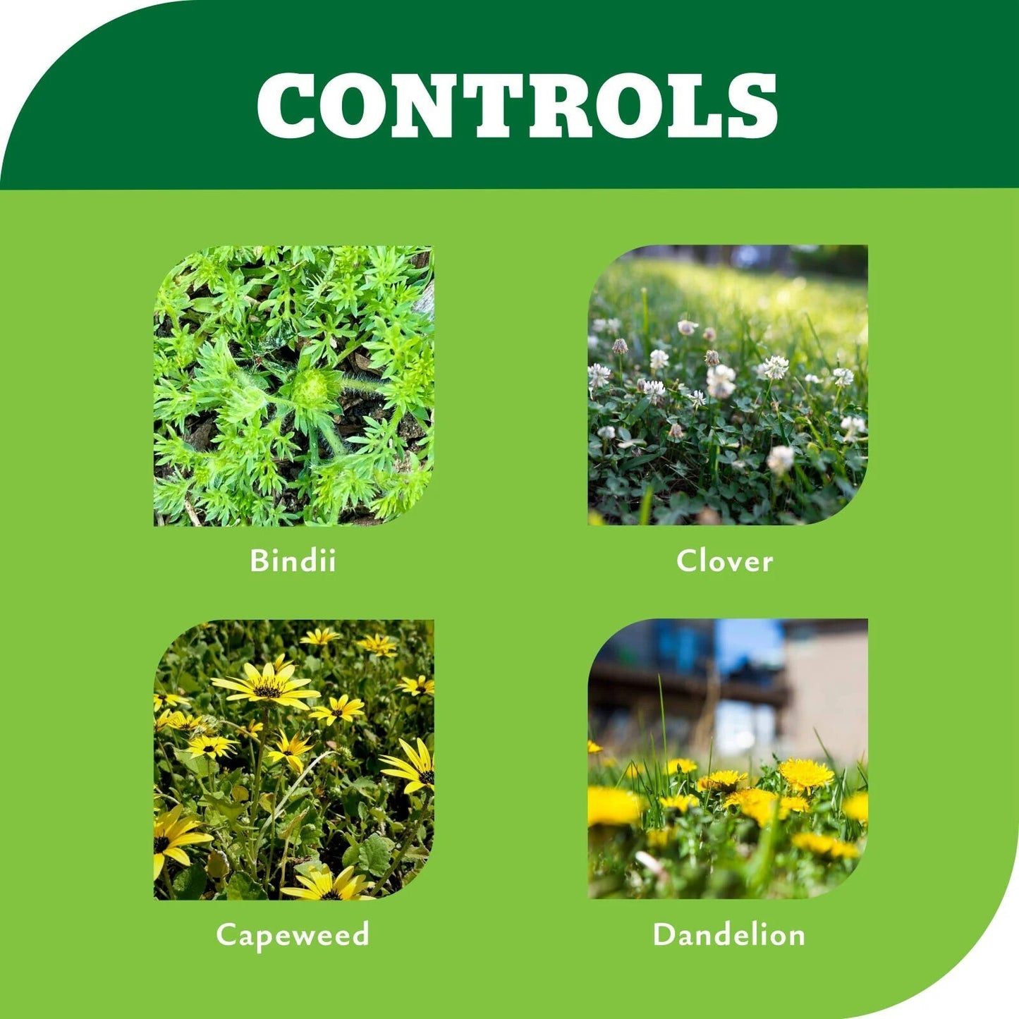Yates Bindii And Clover Lawn Weedkiller Concentrate 500ml Garden Weeds Grass