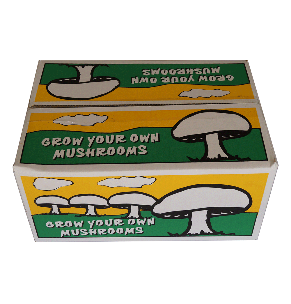 Grow Your Own Mushroom Kit