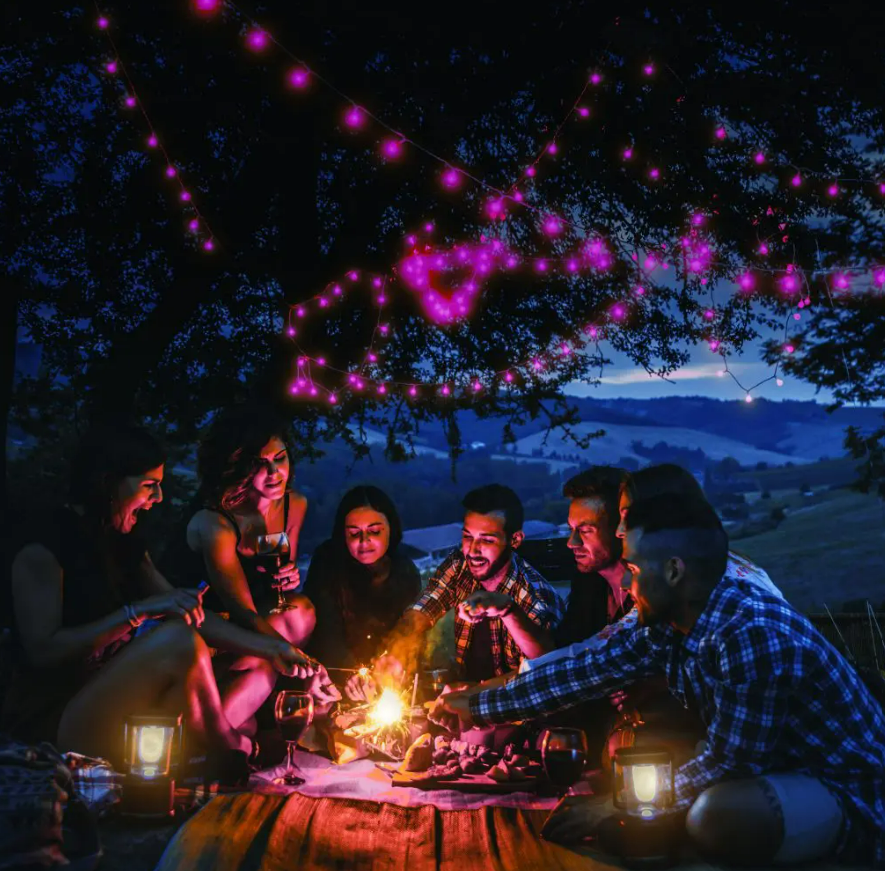 Laser Smart Fairy Lights WiFi 100 LED String Wired Xmas Garden Google Alexa 7M