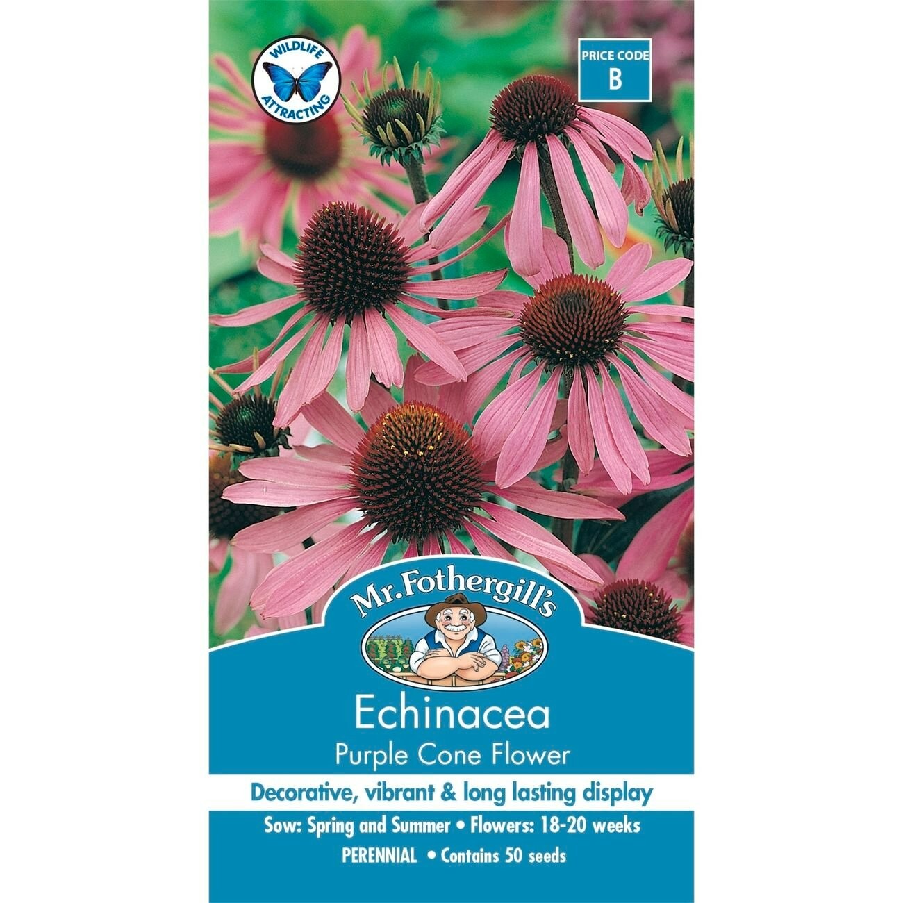 Mr Fothergill's Echinacea Purple Cone Flower Garden Lawn Yard Flowers 50 Seeds