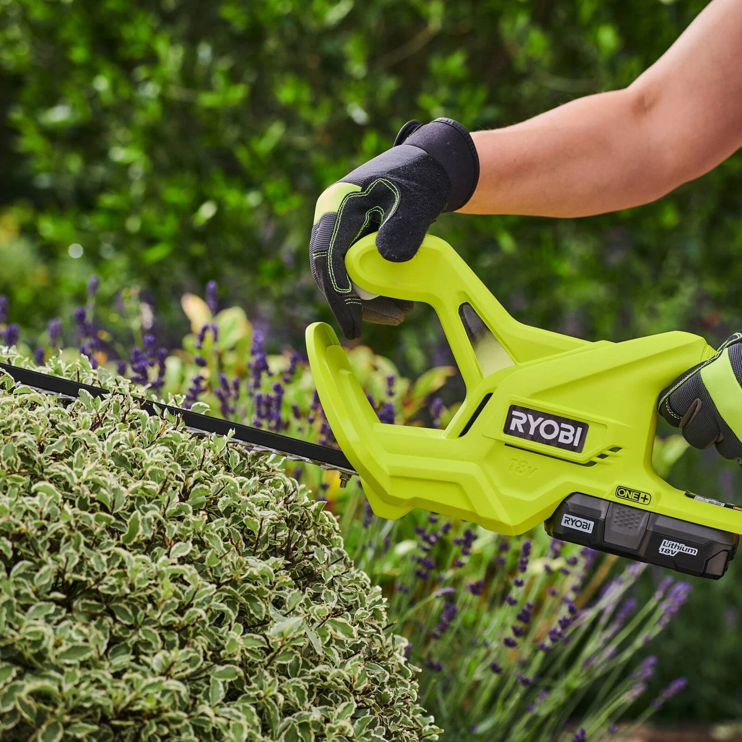 Ryobi 18V Hedge Trimmer Kit ONE+ 2.0Ah Cordless Battery Charger included