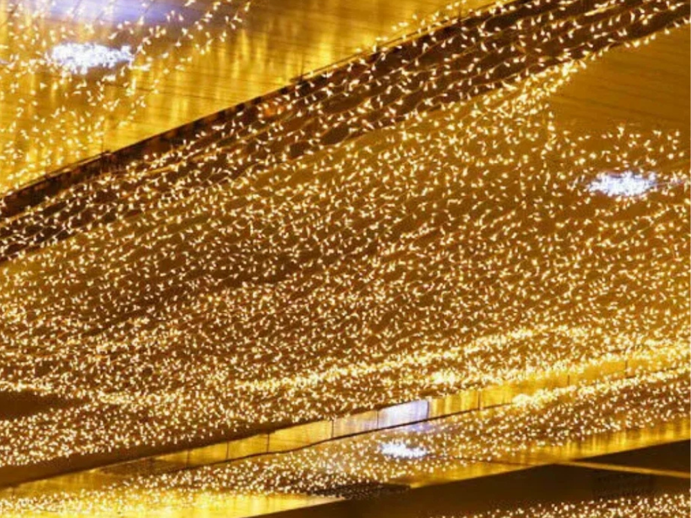 Lytworx 12.4m LED Fairy String Lights – 250 Warm White Bulbs