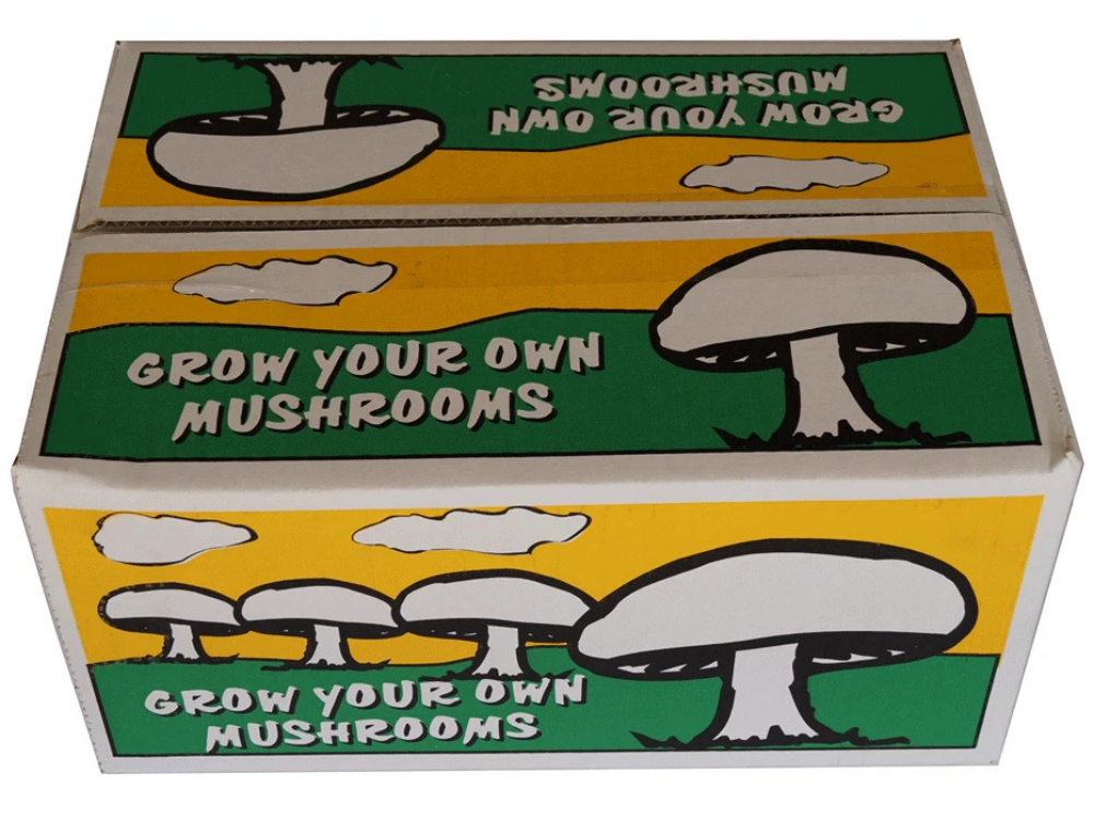 Grow Your Own Mushroom Kit – Easy Indoor Growing