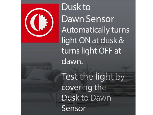 Arlec N-Shaped LED Dusk to Dawn Night Light