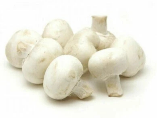 Grow Your Own Mushroom Kit – Easy Indoor Growing