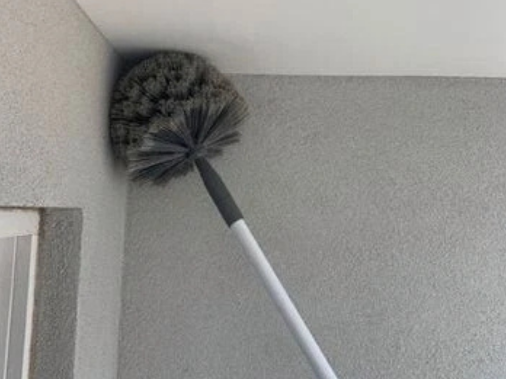 All Set Morgan Telescopic Cobweb Broom – Extendable Dome Brush