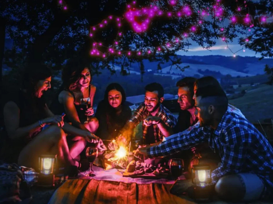 2X Laser Smart WiFi Fairy Lights – 100 LED String, Google & Alexa Compatible