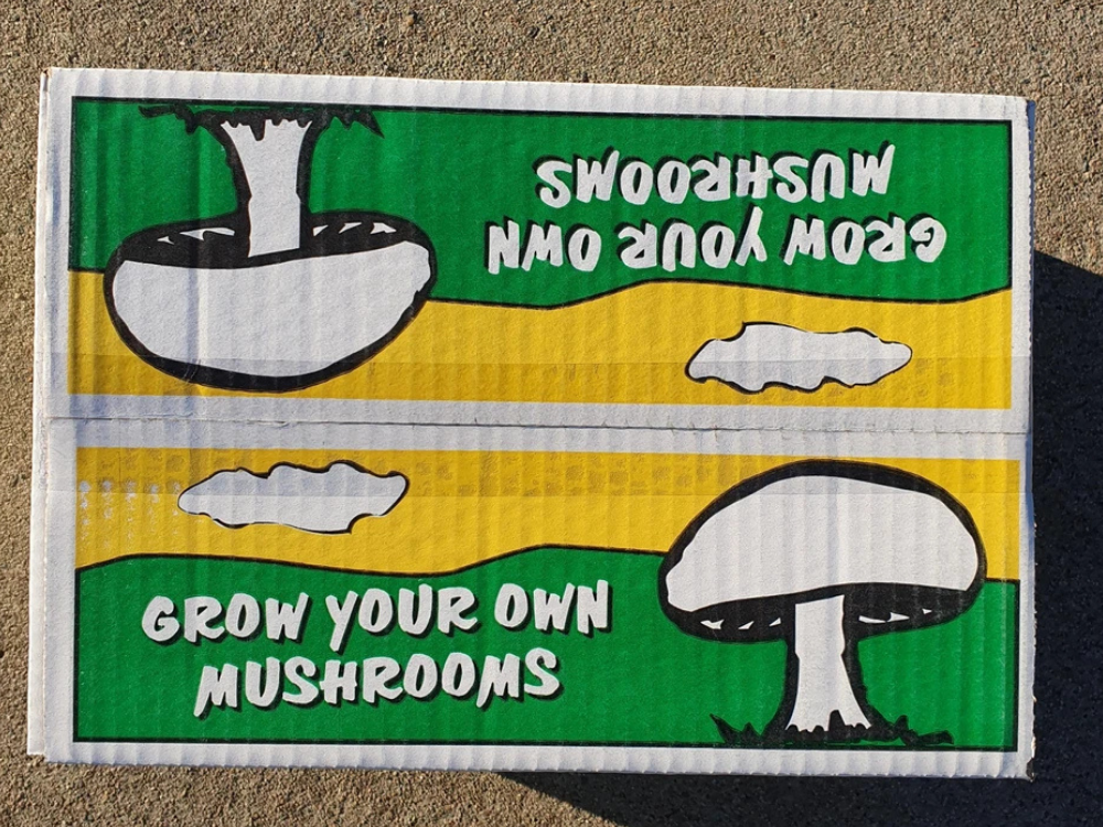 Grow Your Own Mushroom Kit – Easy Indoor Growing