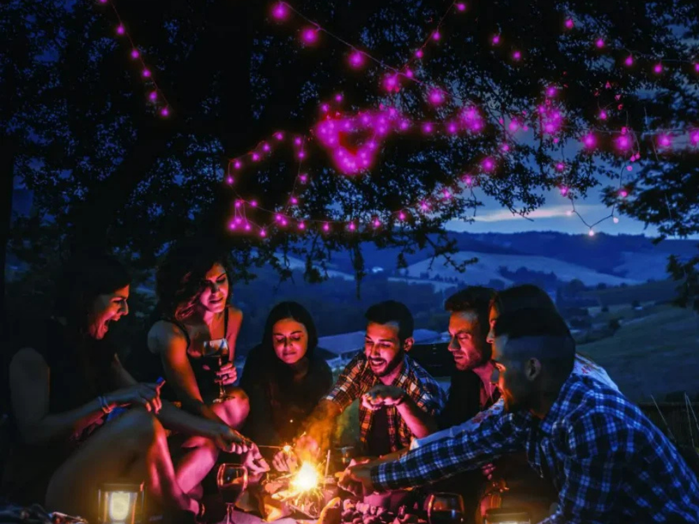 Smart WiFi LED Fairy Lights – 100 LEDs, 7M, Alexa/Google Compatible