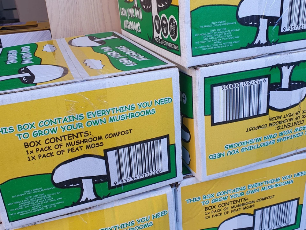 Grow Your Own Mushroom Kit – Easy Indoor Growing