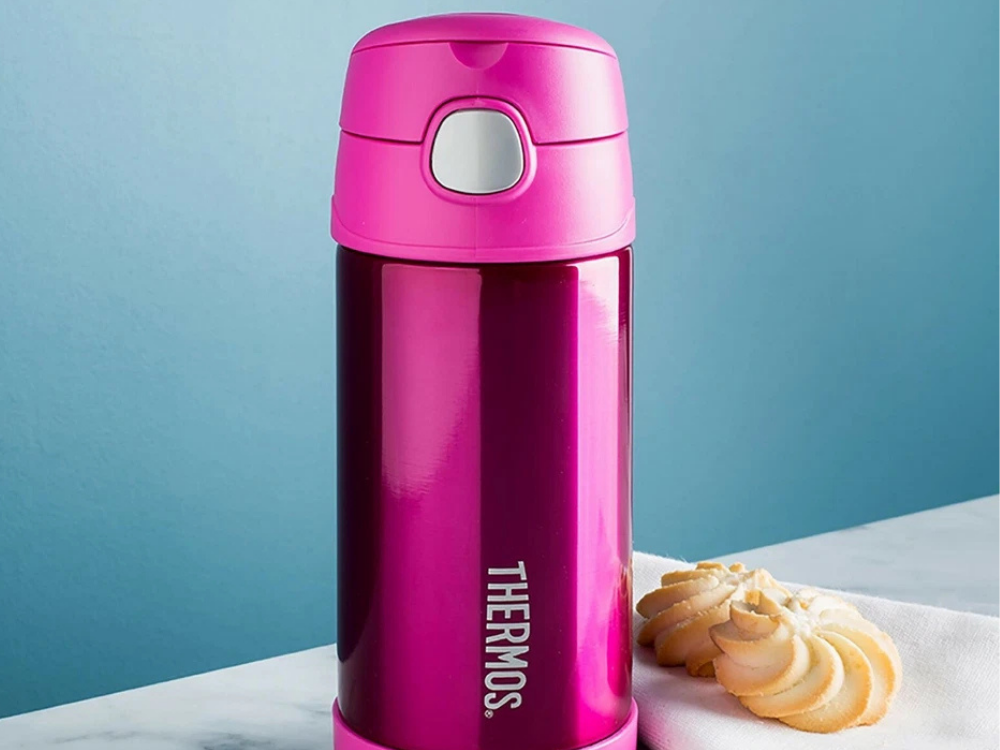 Thermos Kids Insulated Water Bottle with Straw – Vacuum Flask for Toddlers