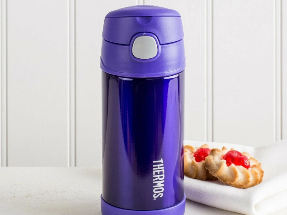 Thermos Kids Insulated Water Bottle with Straw – Vacuum Flask for Toddlers
