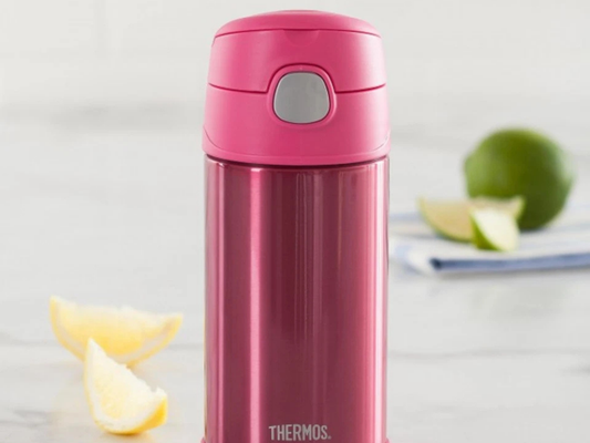 Thermos Kids Insulated Water Bottle with Straw – Vacuum Flask for Toddlers