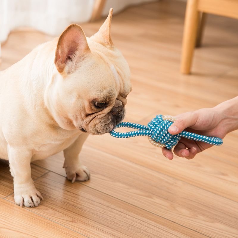 Sour bear Dog Chew Toy Cotton Rope Molar Bite Resistance Two-color cotton ball Blue